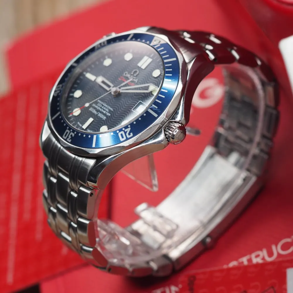Omega Seamaster Professional 22208000 (2011)