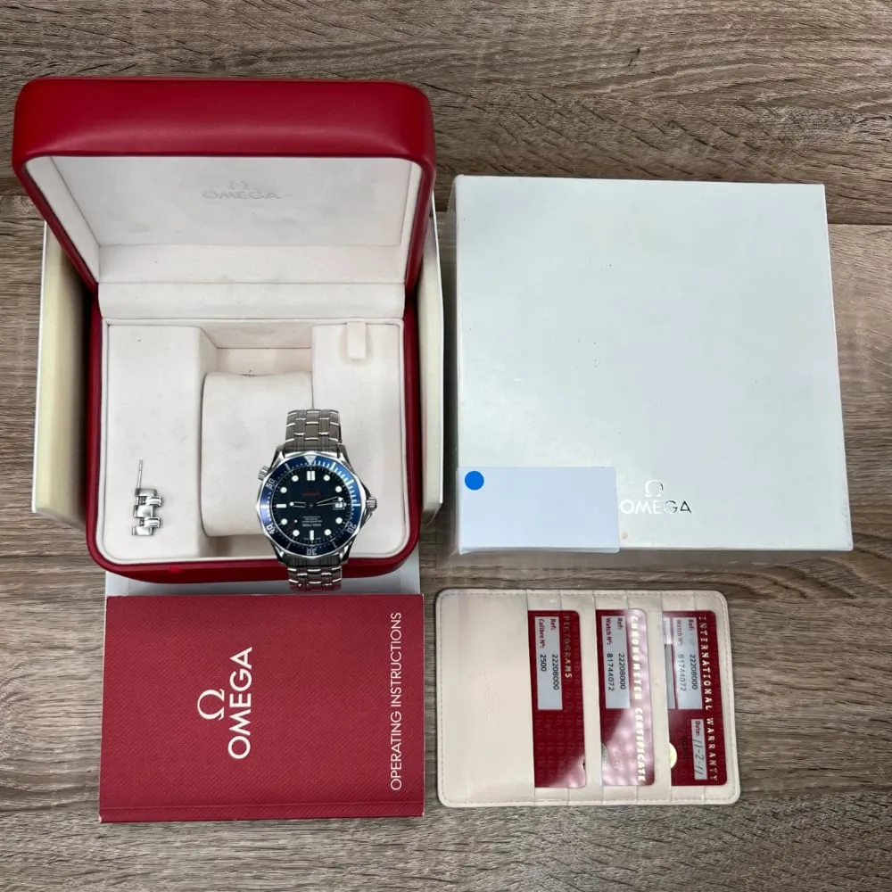 Omega Seamaster Professional 22208000 (2011)