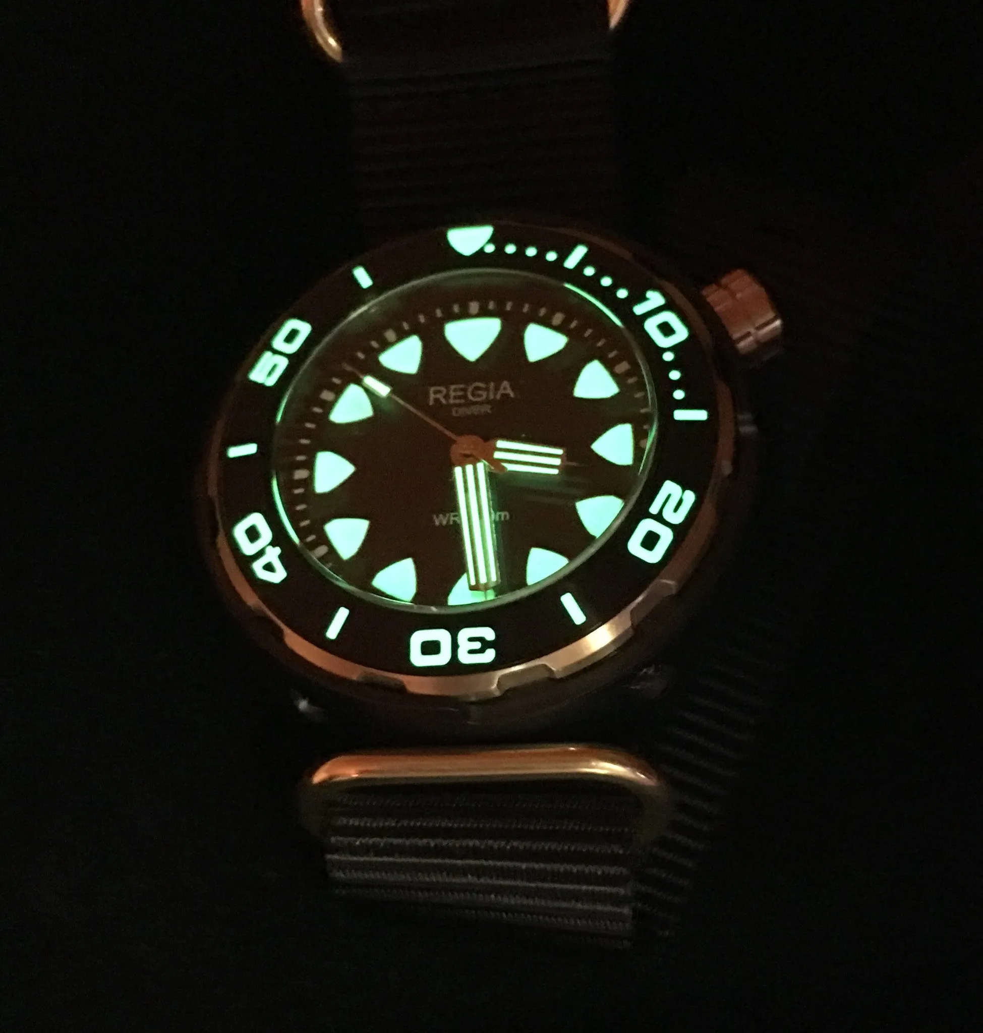 Regia Diver 2018 - Black dial (Silver) (free shipping)