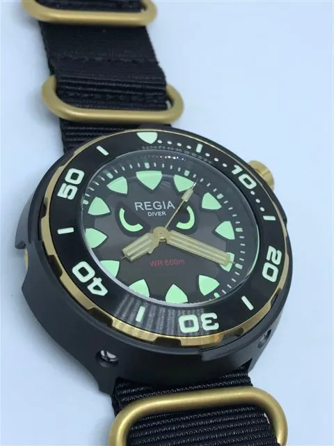 Regia Diver 2018 - NEW Angry Eye Grey sunburst dial (Gold) (free shipping)