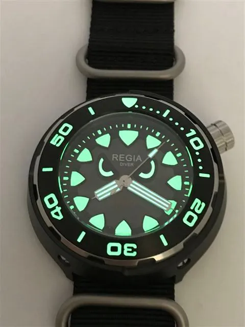 Regia Diver 2018 - NEW Angry Eye Grey sunburst dial (Silver) (free shipping)