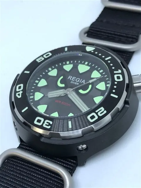 Regia Diver 2018 - NEW Angry Eye Grey sunburst dial (Silver) (free shipping)