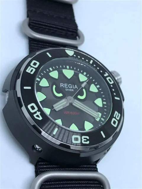 Regia Diver 2018 - NEW Angry Eye Grey sunburst dial (Silver) (free shipping)