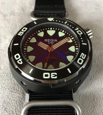 Regia Diver 2018 - NEW Blue sunburst dial (Silver) (free shipping)
