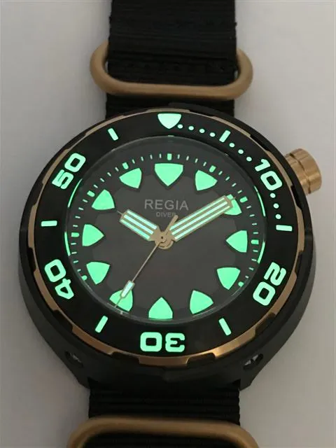 Regia Diver 2018 - NEW Grey sunburst dial (Gold) (free shipping)