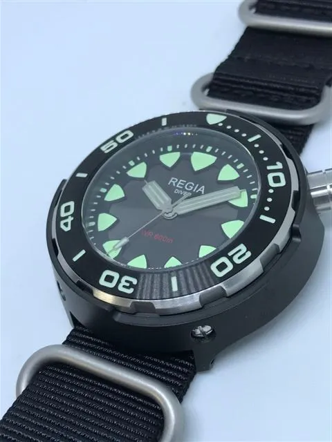 Regia Diver 2018 - NEW Grey sunburst dial (Silver) (free shipping)