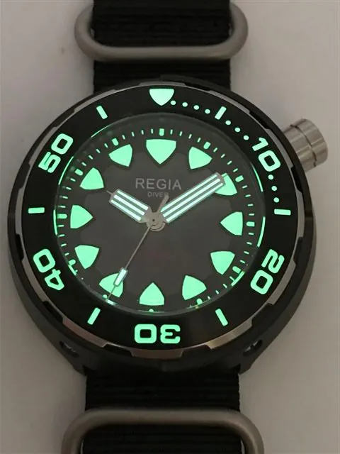 Regia Diver 2018 - NEW Grey sunburst dial (Silver) (free shipping)