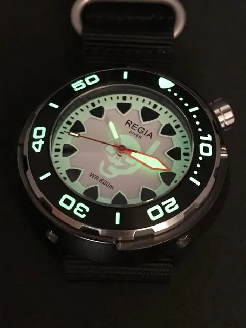 Regia Diver 2018 - NEW White Scuba Ghost RIDER dial (Silver) (free shipping)