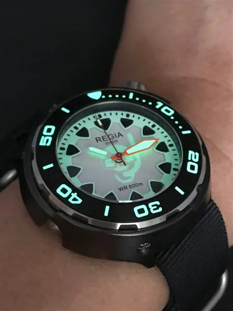 Regia Diver 2018 - NEW White Scuba Ghost RIDER dial (Silver) (free shipping)