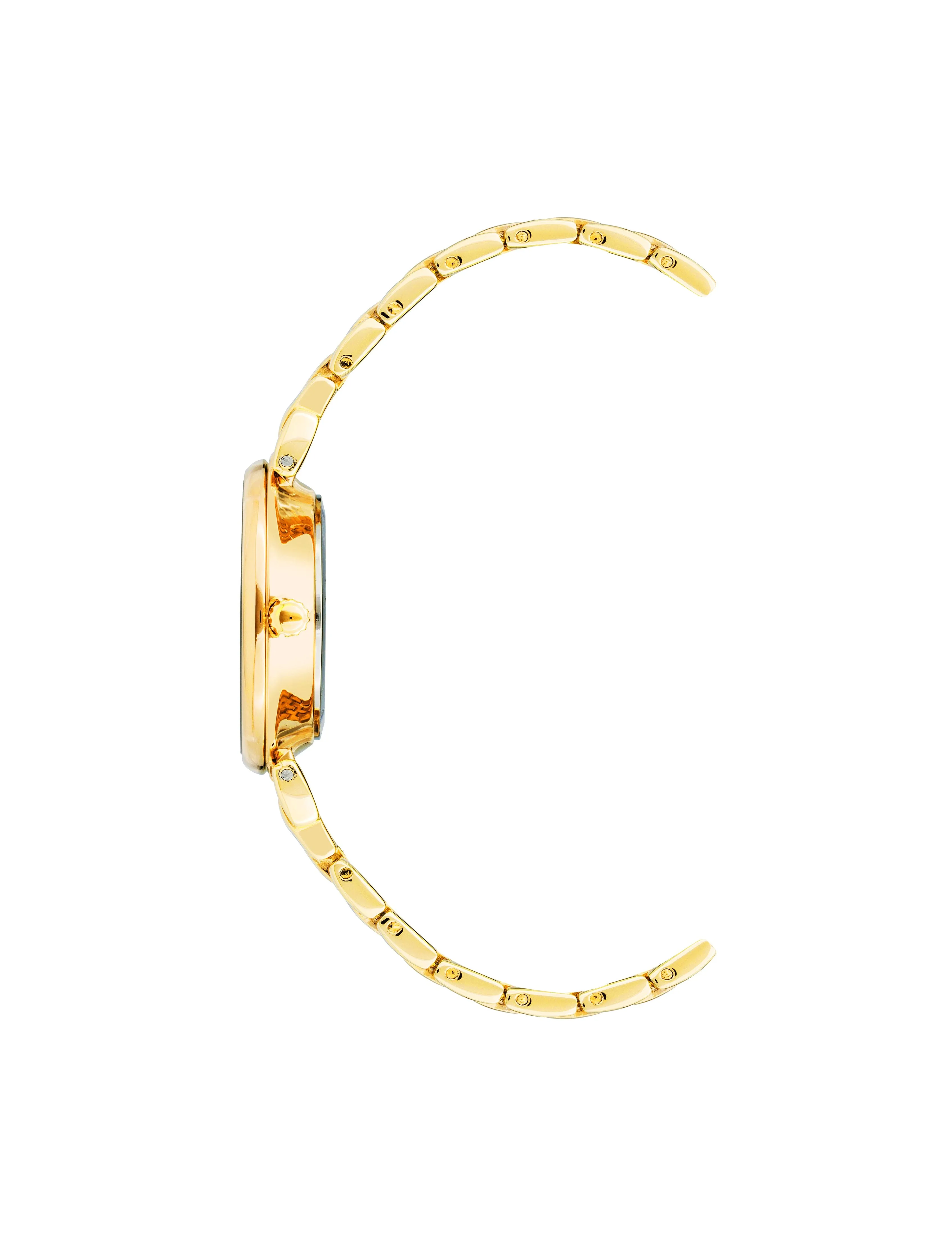 Roman Numeral Dial Watch