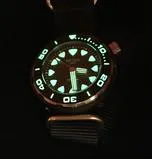 SALES - Regia 600M Diver   5 Shrouds (free shipping)