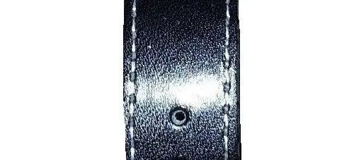 Wolf Wrist Watch- Spirited Pack
